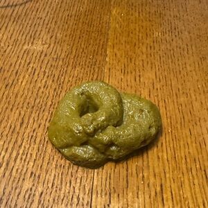 💩Realistic Prank Poop!💩